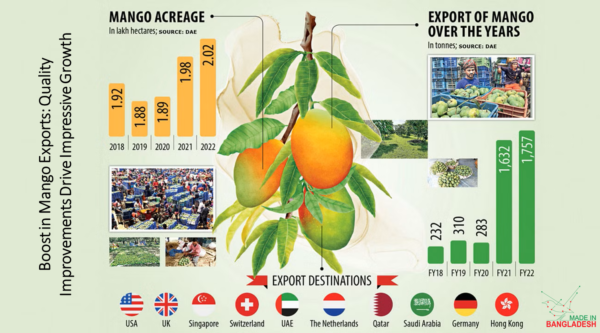 Mango Export